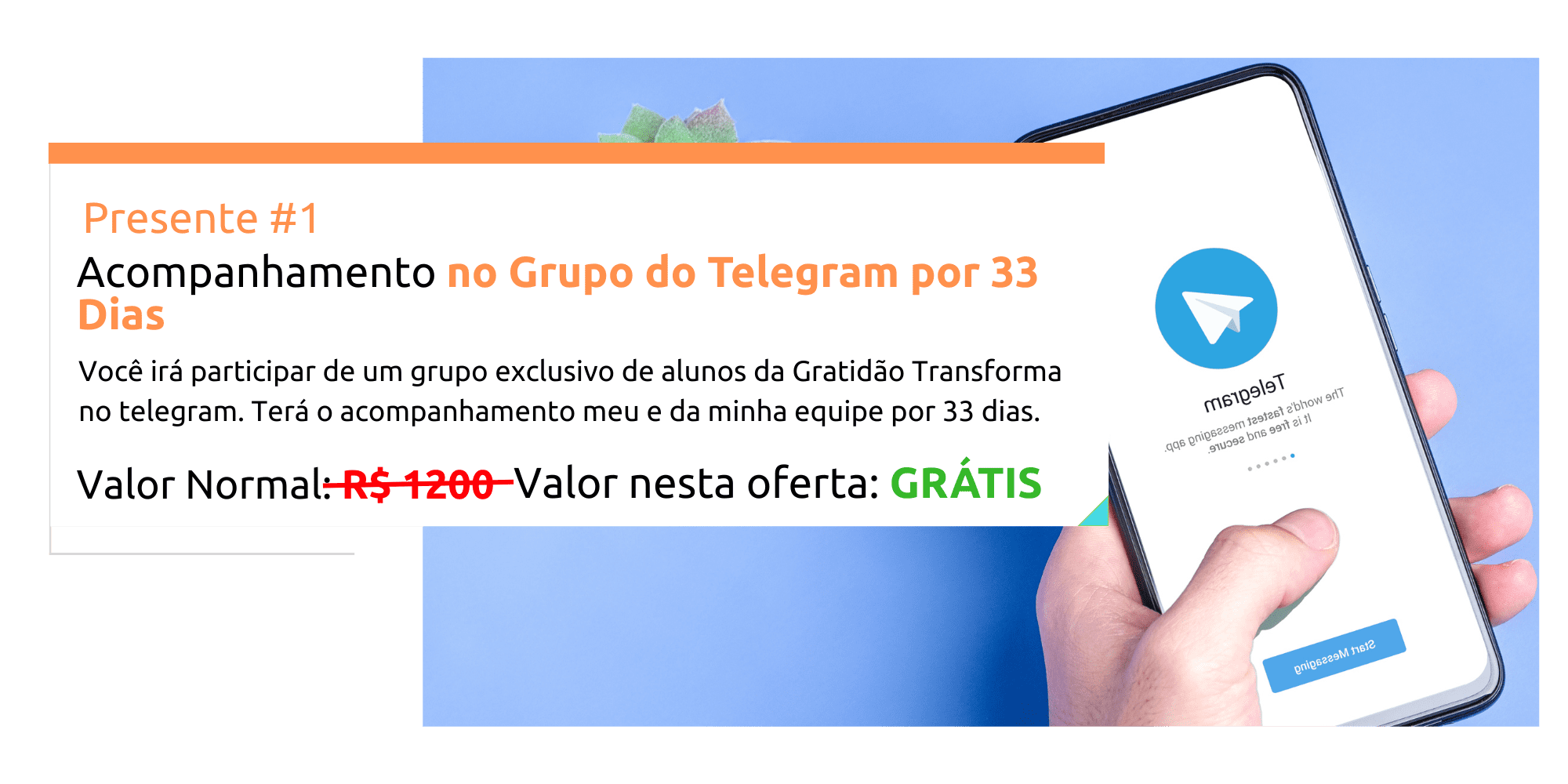 PAGINA DO FLUXO TOTAL (1)